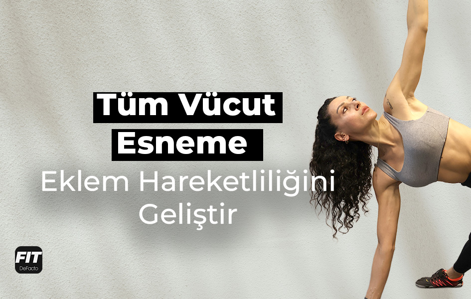 Fitness Videoları