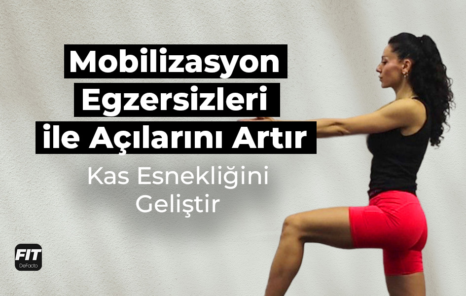 Wellness Videoları