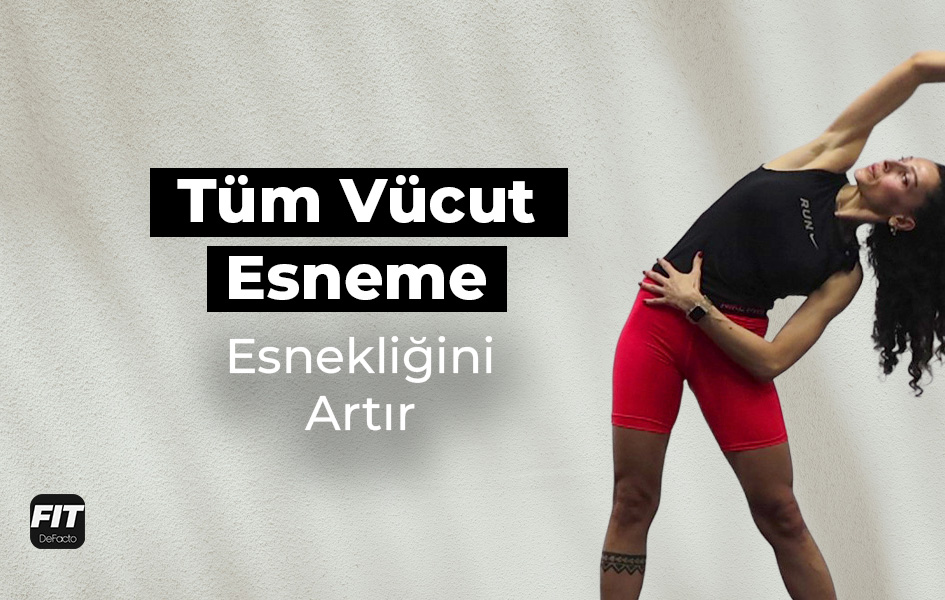 Wellness Videoları